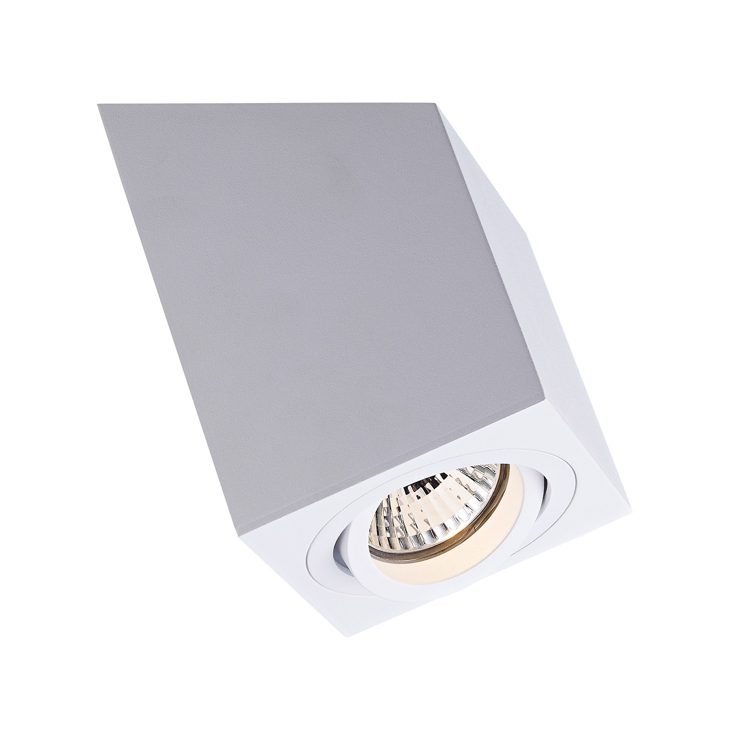 Zuma Line Roncub SL - spot en saillie - - blanc