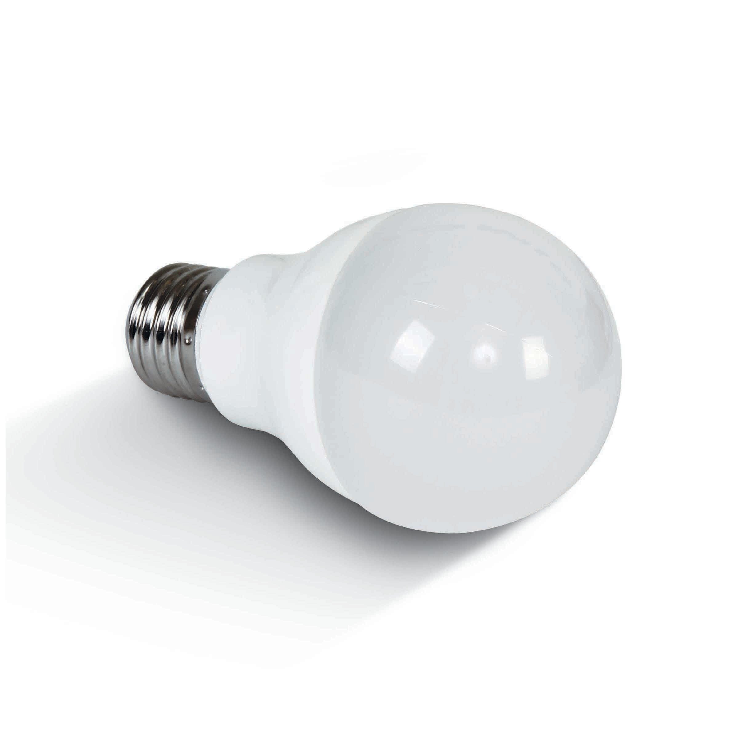 ONE Light Ampoule LED classique - Ø cm - E27 - 10,5W - non graduable - 2700K