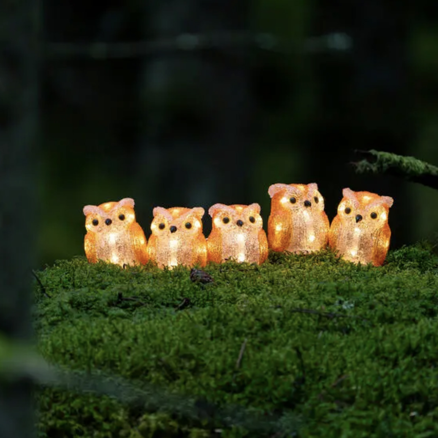 Konstsmide Lumières de Noël - 5 oiseaux décoratifs - x - IP44 - orange