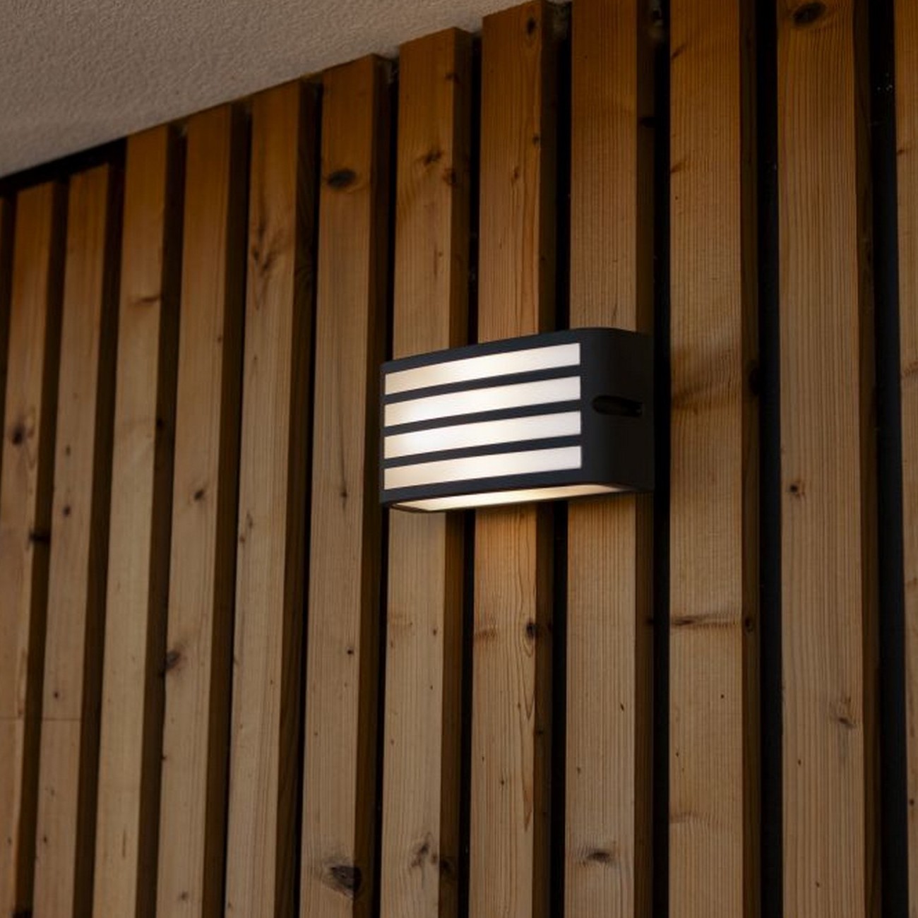 Lutec Zebra - Applique d"extérieur - x 9 cm - IP44 - gris foncé