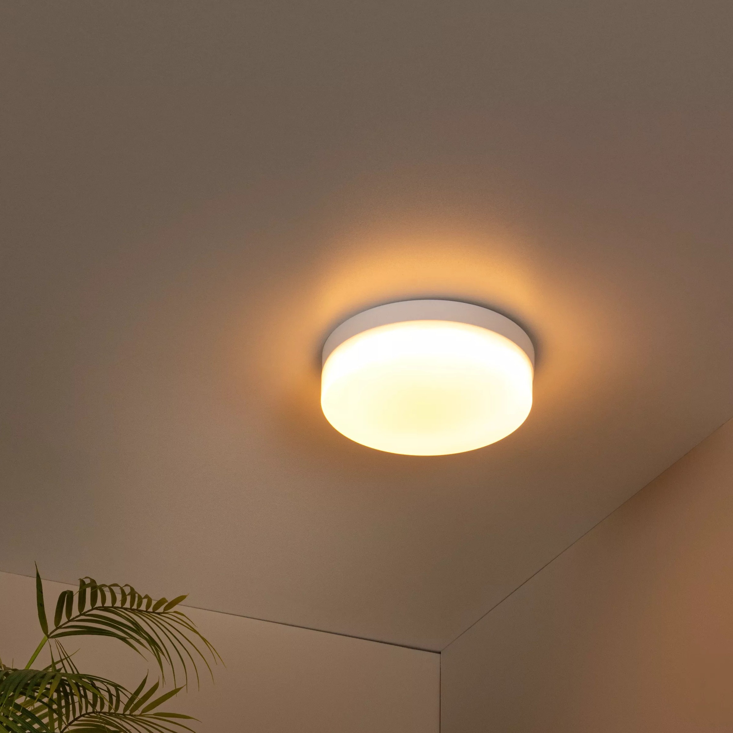 Lucide Biskit - plafonnier avec détecteur de mouvement - Ø ,5 cm - 12W LED inclus - IP44 - blanc