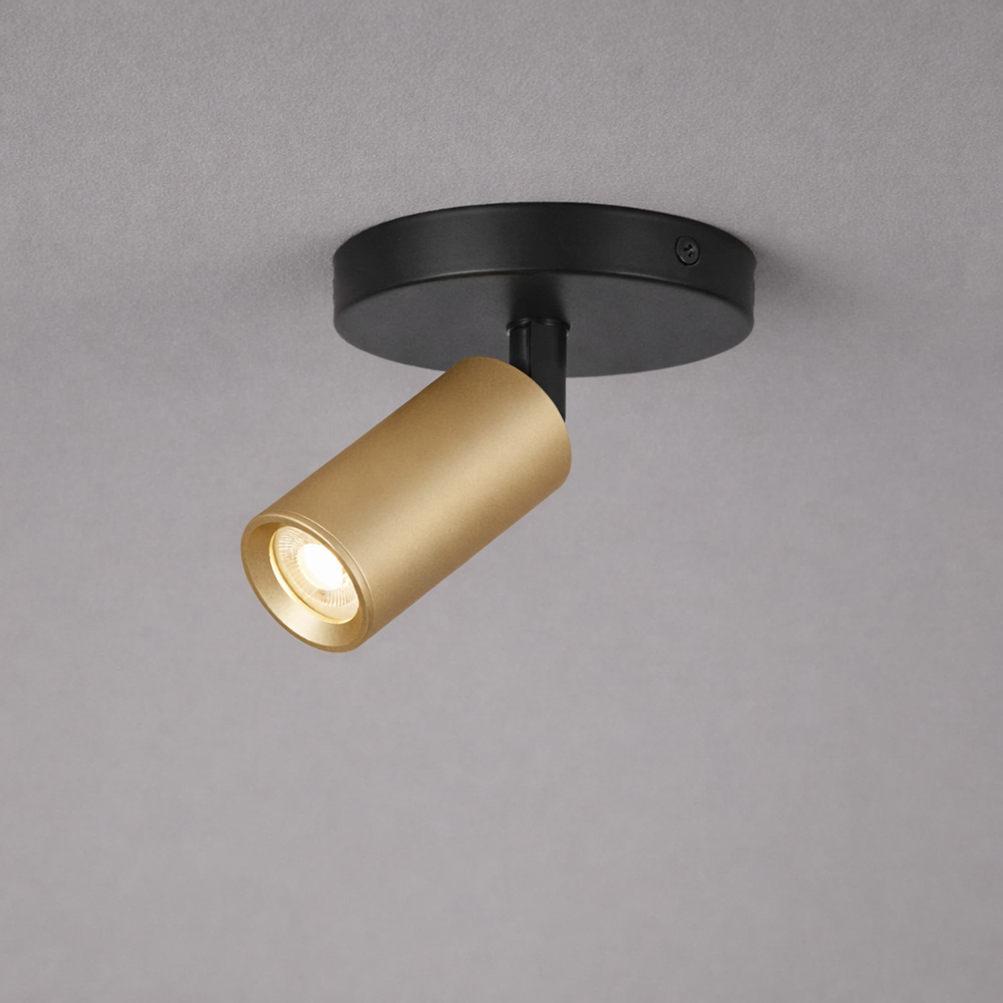 Projectlight Clara - spot en saillie - 11,5 x cm - or