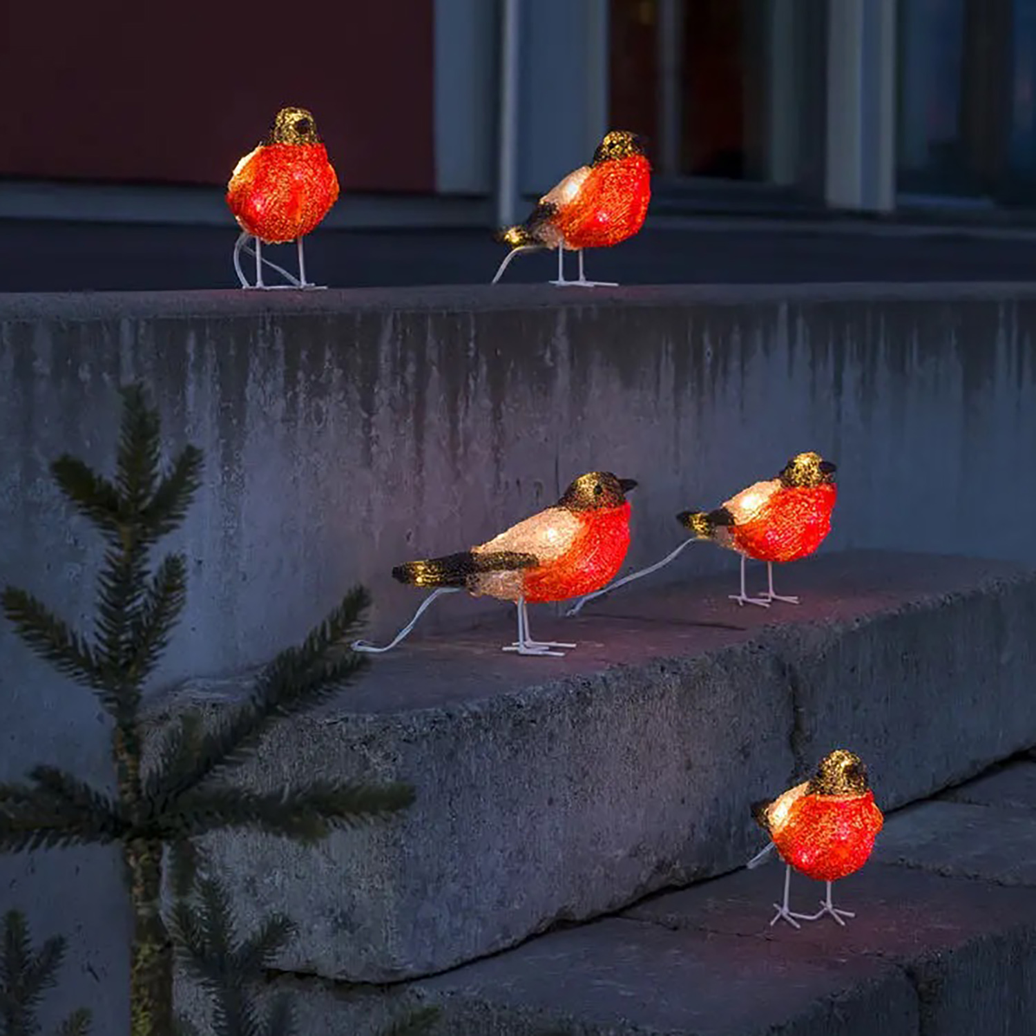 Konstsmide Lumières de Noël - pinsons dorés - x - IP44 - multicolore