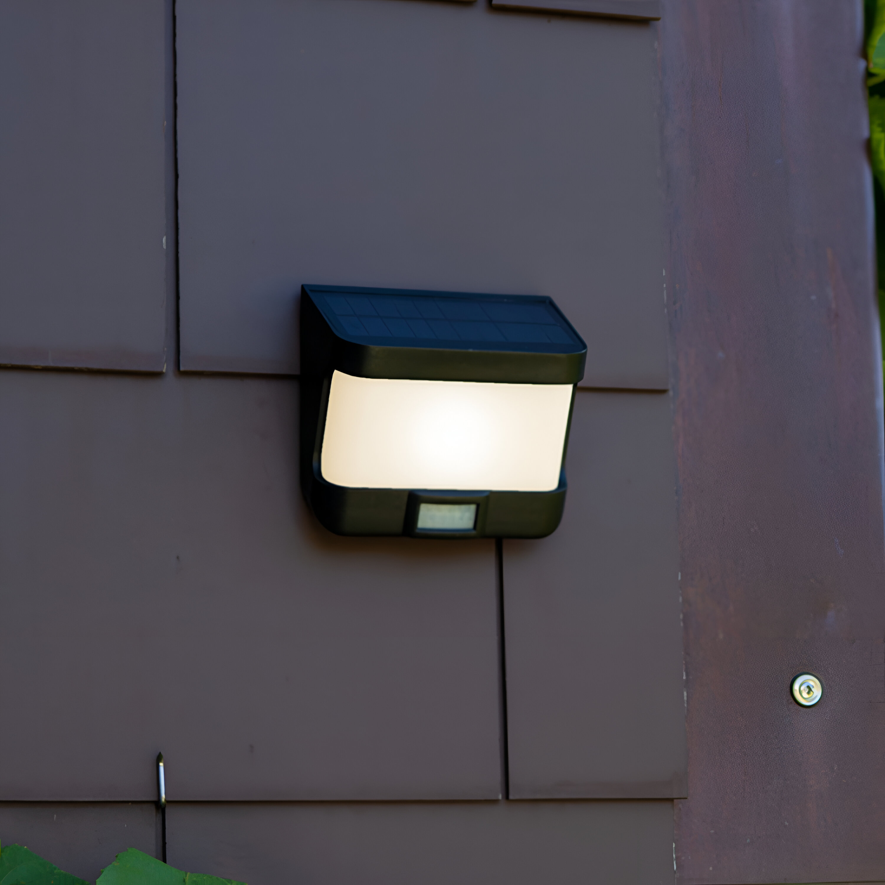 Lutec Try - Applique d"extérieur avec capteur solaire - 12,5 x 11,8 x 6,9 cm - 8W LED inclus - IP54 - noir
