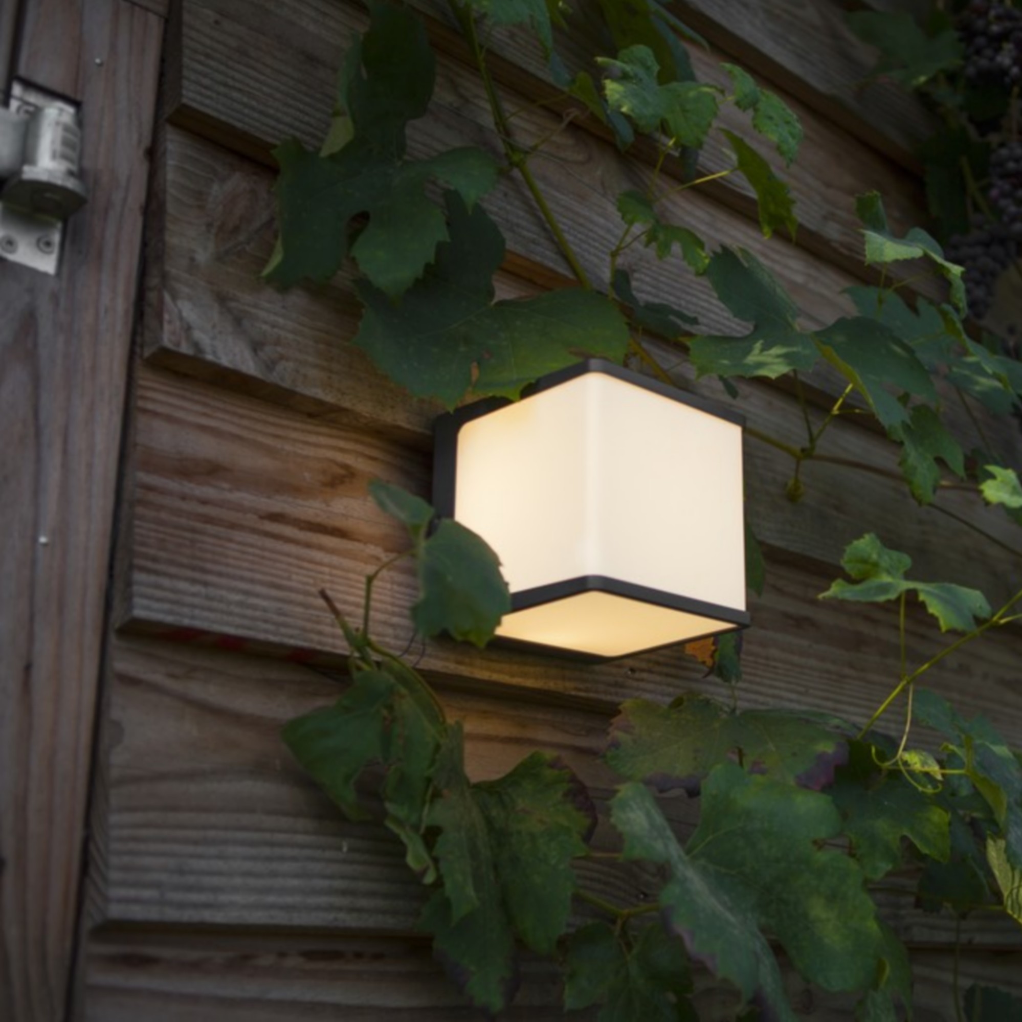 Lutec Doblo - applique murale extérieure - x15 cm - 19,1W LED inclus - IP54 - 4000K - gris foncé