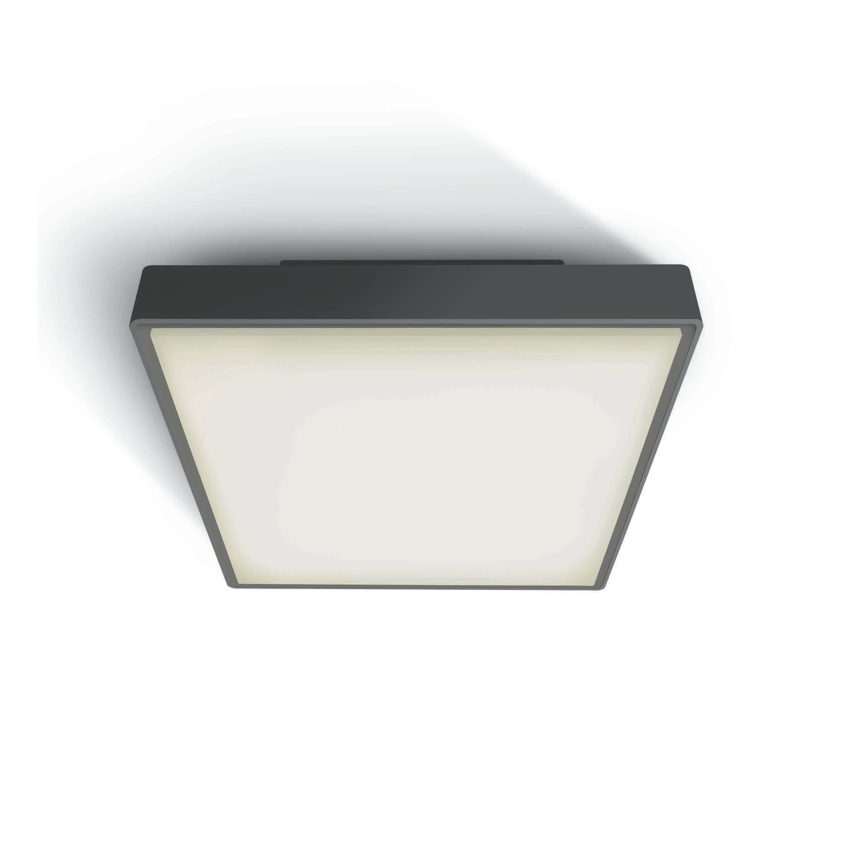 ONE Light LED Plafo Outdoor Square - plafonnier extérieur - 29,5 x 29,5 x 8 cm - 24W LED inclus - IP65 - anthracite