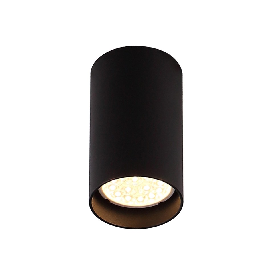Maxlight Pet Round - spot en saillie - - noir