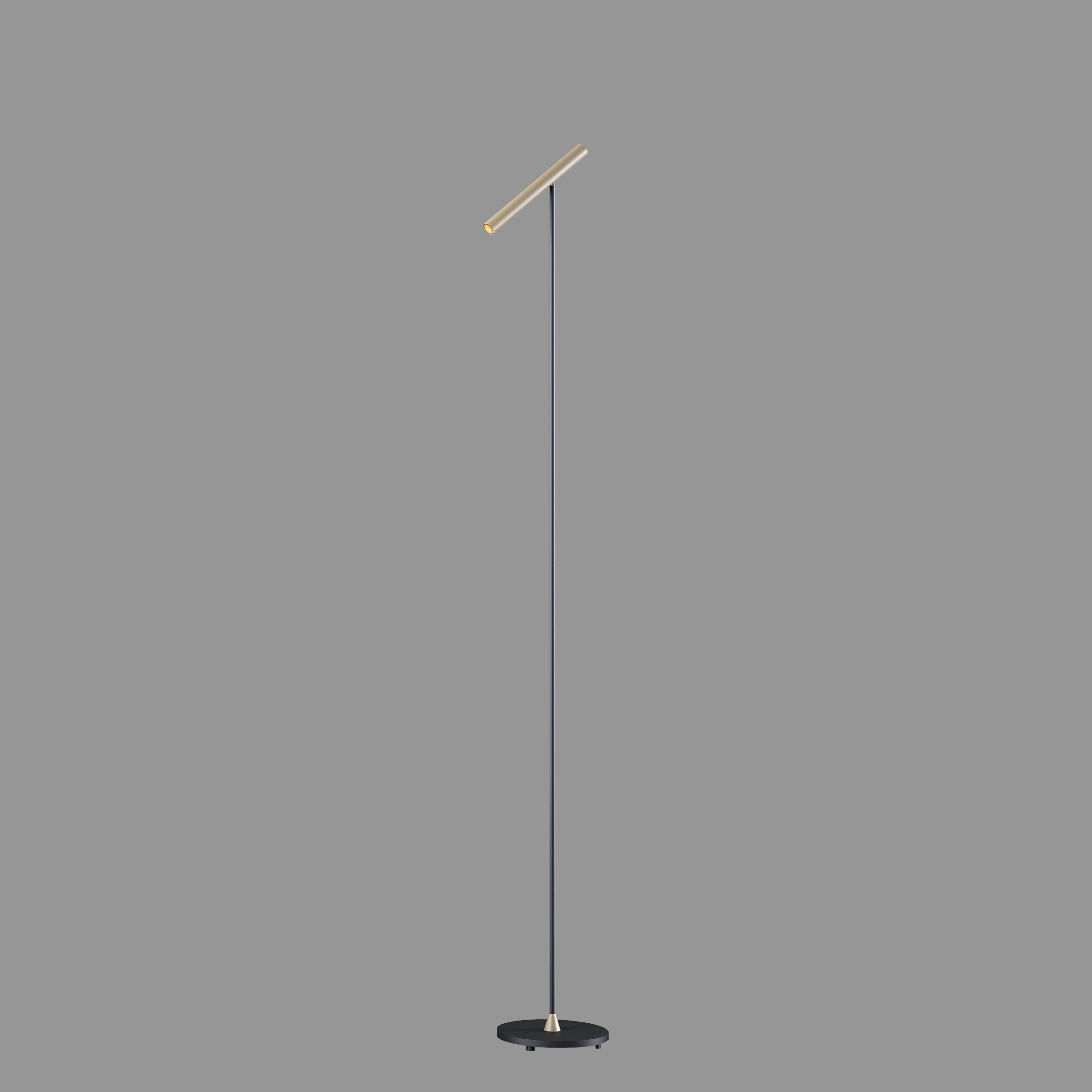 Artdelight Kansas - lampadaire - x - 6W LED dimmable inclus - noir et champagne