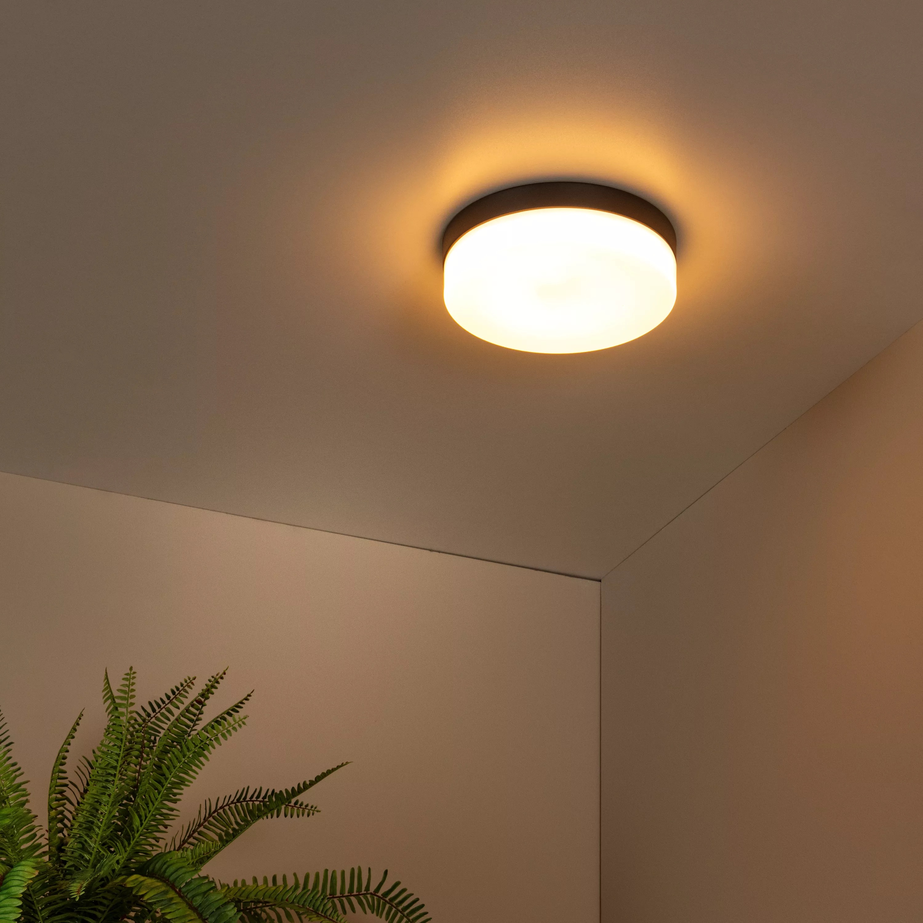 Lucide Biskit - plafonnier avec détecteur de mouvement - Ø ,5 cm - 18W LED inclus - IP44 - noir