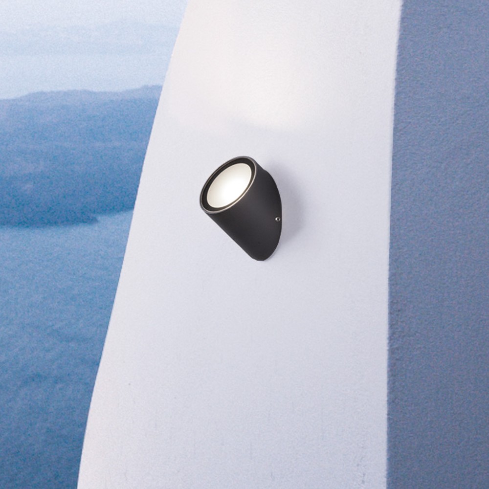Nova Luce Capo - applique murale extérieure - Ø ,5 cm - 3W LED inclus - IP65 - noir sablé