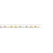 KLUS bande LED - largeur de 0,8 cm, longueur de 500 cm - 24 V DC - dimmable - 9,1 W LED par mètre - IP65 - 3000 K - compatible uniquement avec certains profils KLUS