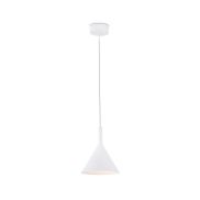 Faro Pam - suspension - Ø 16,5 x 21,5 cm - LED 11W incl. - blanc mat