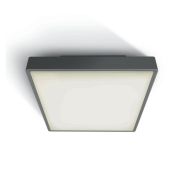 ONE Light LED Plafo Outdoor Square - plafonnier extérieur - 22,1 x 22,1 x 5,7 cm - 16W LED inclus - IP65 - anthracite