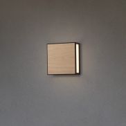 Nova Luce Astral - applique murale et plafonnier extérieur - 22 x 22 x 8,7 cm - 16W LED inclus - IP65 - anthracite foncé et bois