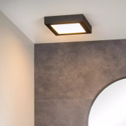 Lucide Brice-Led - plafonnier - 22 x 22 x 3,9 cm - 22W LED dimmable inclus - IP44 - noir