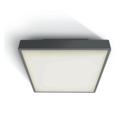 ONE Light LED Plafo Outdoor Square - plafonnier extérieur - 22,1 x 22,1 x 5,7 cm - 16W LED inclus - IP65 - anthracite