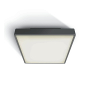 ONE Light LED Plafo Outdoor Square - plafonnier extérieur - 29,5 x 29,5 x 8 cm - 24W LED inclus - IP65 - anthracite