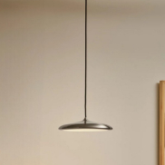 Design for the People Artist 25 - lampe suspendue - Ø 25 x 306 cm - 14W dimmable LED inclus - acier inoxydable