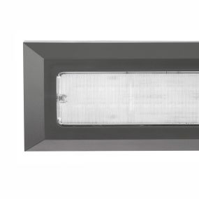Nova Luce Pulsar - applique murale d'extérieur - 23 x 3 x 8 cm - 4W LED inclus - IP54 - gris foncé