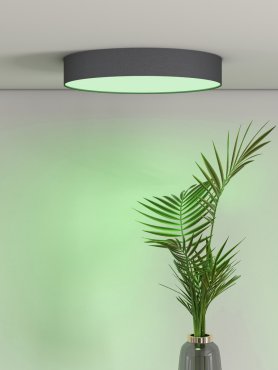 Plafonnier Calex Smart - fonction de gradation et couleur de lumière réglable via application - Ø 30 x 6,5 cm - LED 16W incluse - noir