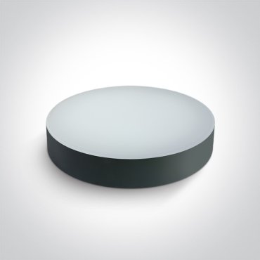 ONE Light IP65 CCT V - plafonnier - Ø 32 x 6,2 cm - 20W LED inclus - IP65 - anthracite