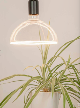 Segula Ampoule LED - Bol flottant - Ø 20 x 15 cm - E27 - 6,2W dimmable - dim à chaud 2000 à 2700K - transparent