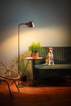 ETH Dex - lampadaire - Ø 15,5 x 145 cm - brun