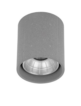 Nova Luce Ritz - plafonnier d'extérieur - Ø 10,2 x 12 cm - 10W LED inclus - IP65 - gris