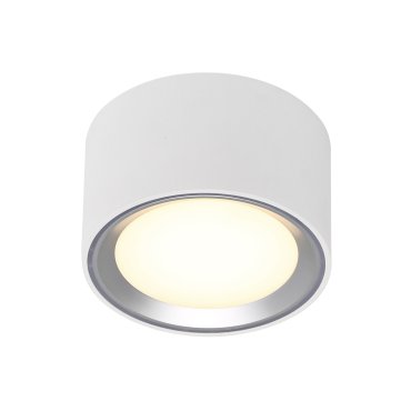 Nordlux Fallon - spot en saillie 1L - Ø 10 cm - fonction Moodmaker à 4 niveaux - LED 5,5W dimmable inclus - blanc et acier brossé