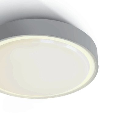 ONE Light Emergency LED Plafo - plafonnier extérieur - Ø 30 x 7,5 cm - 15W LED inclus - IP65 - gris