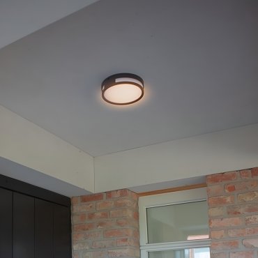 Lutec Rola - plafonnier/mural extérieur - Ø 18,3 x 4,8 cm - 13W LED inclus - IP54 - gris foncé