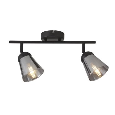 Searchlight Mega - spot en saillie 2L - 50 x 20 cm - noir et verre fumé