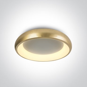 ONE Light LED Décoratif - plafonnier - Ø 40 x 8,5 cm - 30W LED inclus - or brossé - couleur de lumière blanc chaud à blanc
