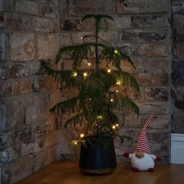 Konstsmide - Guirlande lumineuse à piles - 185 cm - 10 x 0,06W inclus - blanc chaud couleur de lumière - transparent