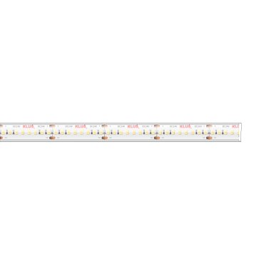 Klus Bande LED - largeur 1,2cm, longueur 500cm - 24Vdc - dimmable - 4,8W LED par mètre - 240 LED par mètre - IP65