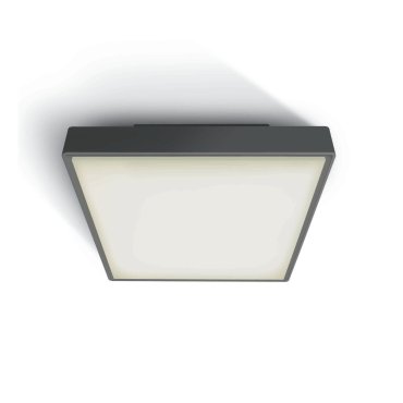 ONE Light LED Plafo Outdoor Square - plafonnier extérieur - 29,5 x 29,5 x 8 cm - 24W LED inclus - IP65 - anthracite