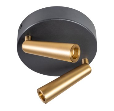 ETH Barry - spot en saillie 2 ampoules - Ø 13 x 2,5 cm - LED 6W inclus - noir et laiton