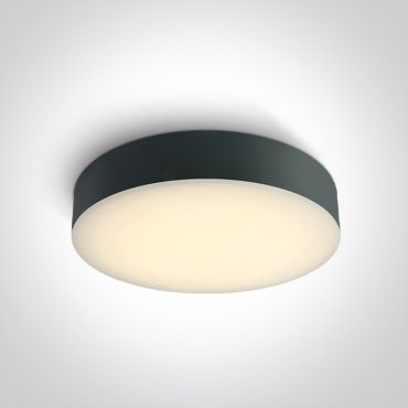 ONE Light IP65 CCT V - plafonnier - Ø 32 x 6,2 cm - 20W LED inclus - IP65 - anthracite