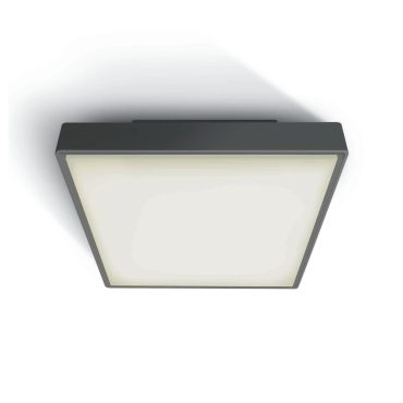 ONE Light E27 Plafo Outdoor Square - plafonnier extérieur - 29,5 x 29,5 x 10,5 cm - IP65 - anthracite