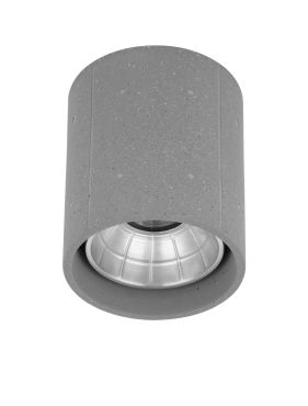 Nova Luce Ritz - plafonnier d'extérieur - Ø 10,2 x 12 cm - 10W LED inclus - IP65 - gris